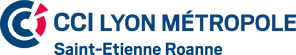 CCI Lyon Metropole logo